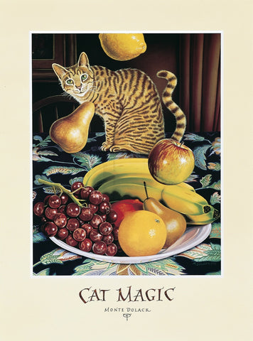 Cat Magic - signed