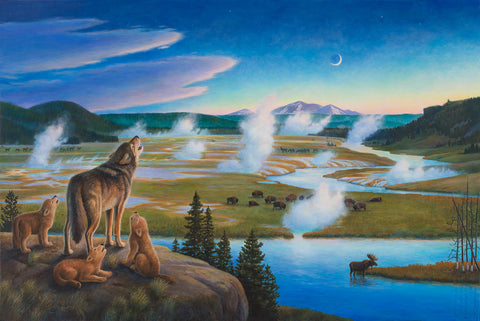 Restoring the Wolf to Yellowstone National Park