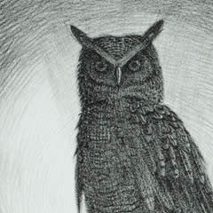 Night Owl - Black & White