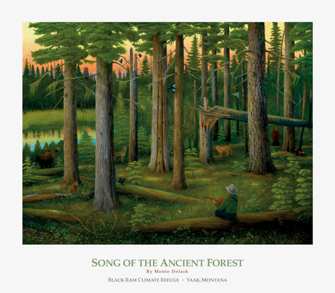 Song of the Ancient Forest Limited Edition Fine Art Print
