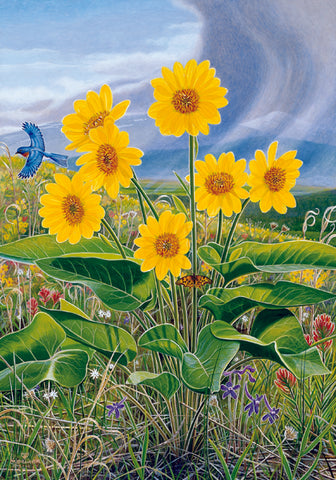 Springtime on Mount Jumbo