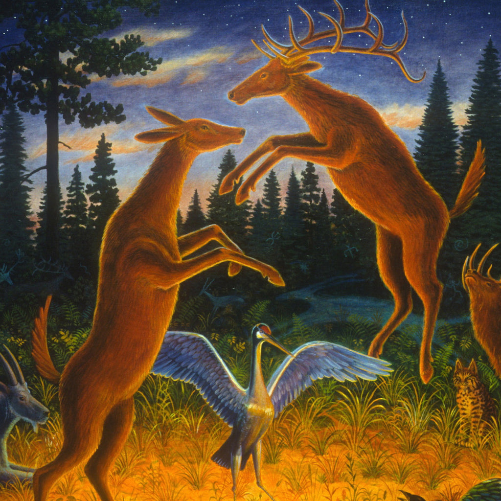 Animal Rites 　Gee Vaucher Between The Human And The Animal: Gee Vaucher At Firstsite | The