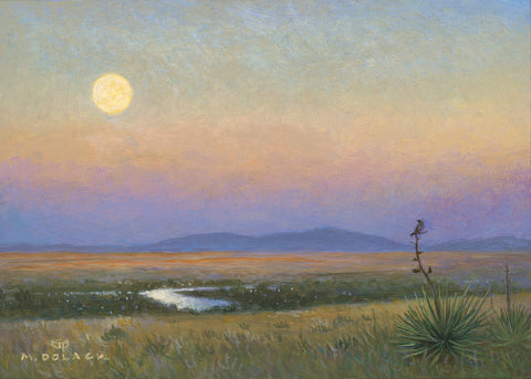 Natural Interest: August Moon