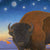 Montana Power Vision of Myth Magic and Mystery