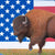 The Return (of the American Bison)