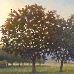 Dordogne Orchard