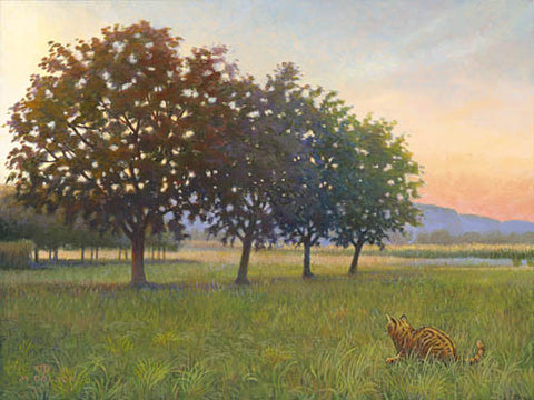 Dordogne Orchard