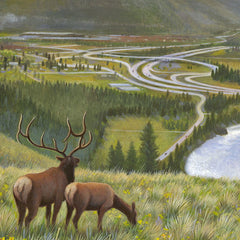 Elk Ridge
