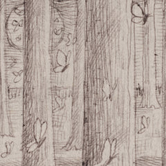 Northern Lights Study