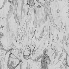 Wildland Fire Study Graphite