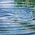 Ripple