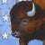 Buffalo Flag