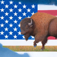The Return (of the American Bison) Print
