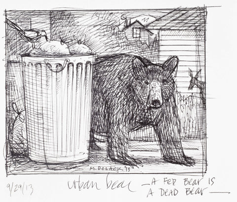 Urban Bear
