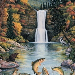 Watershed Preservation - Signed