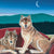 Wolf Dreams - Signed