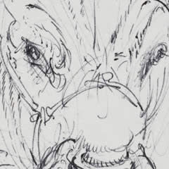 Animal - Study