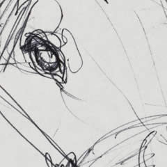 Bovine - Study