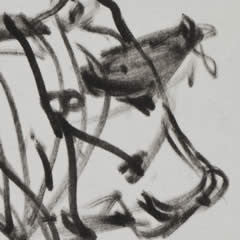 Bovine Three - Study