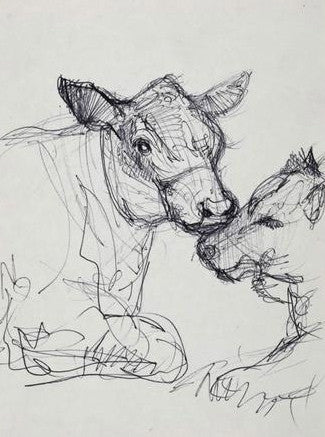 Bovines - Study