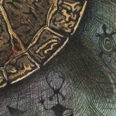 Carapace - Hand Colored