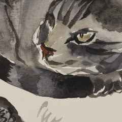 Cat - Study