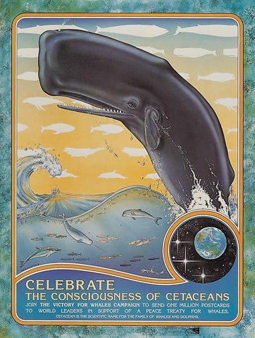 Celebrate the Consciousness of Cetaceans