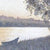 Cottonwood on the Missouri