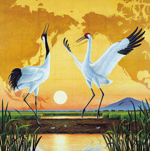 Dancing Cranes