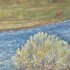 Fish Camp Big Hole River