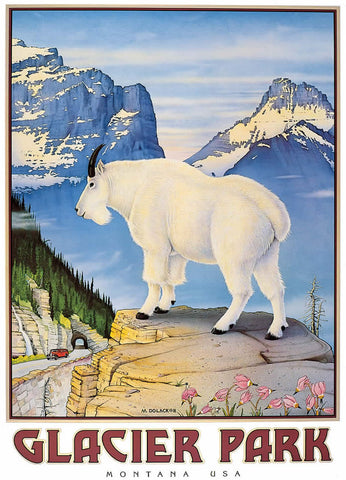 Glacier Park Goat - Poster