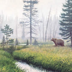 Hush Of The Land - The Scapegoat Wilderness