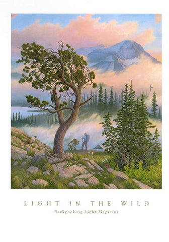 Light in the Wild - Signed