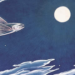 Lure of the Moon
