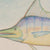 Marlin