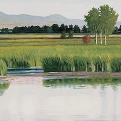 Metcalf Refuge