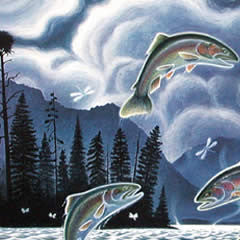 Midnight Rainbows