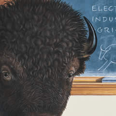 Montana History Lesson