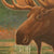 Moose