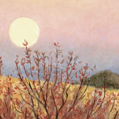 Mount Jumbo Moonrise