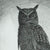 Night Owl - Black & White