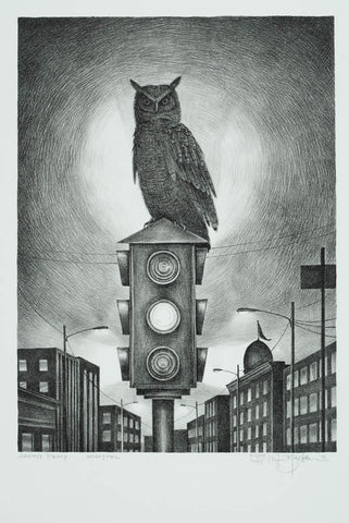 Night Owl - Black & White