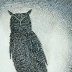 Night Owl - Hand Colored