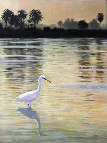 Nile Egret
