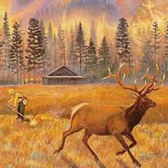 Northern Rockies Fires - Large