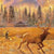 Northern Rockies Fires - Large