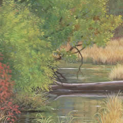 October on Rock Creek