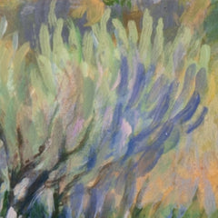 Ovando Valley