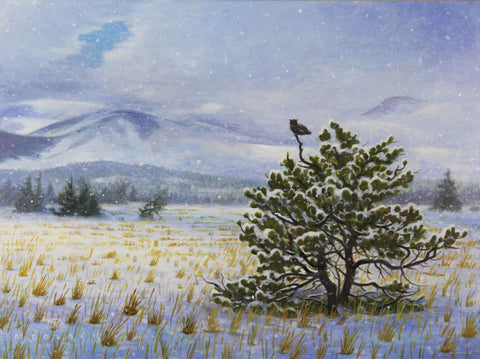 Pine Butte: Early Winter