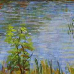 Pine Butte Fen
